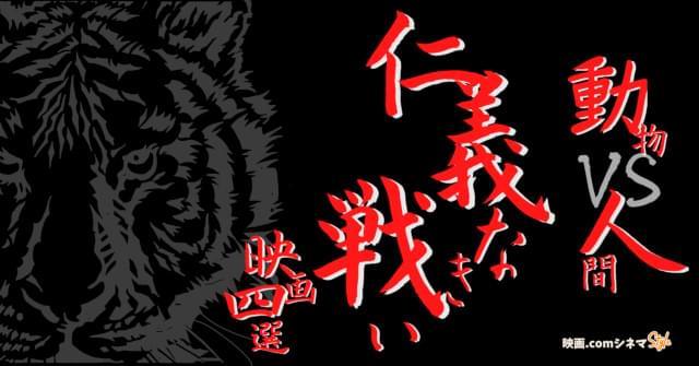 「ランペイジ 巨獣大乱闘」「101匹わんちゃん大行進」「鳥」などをご紹介！