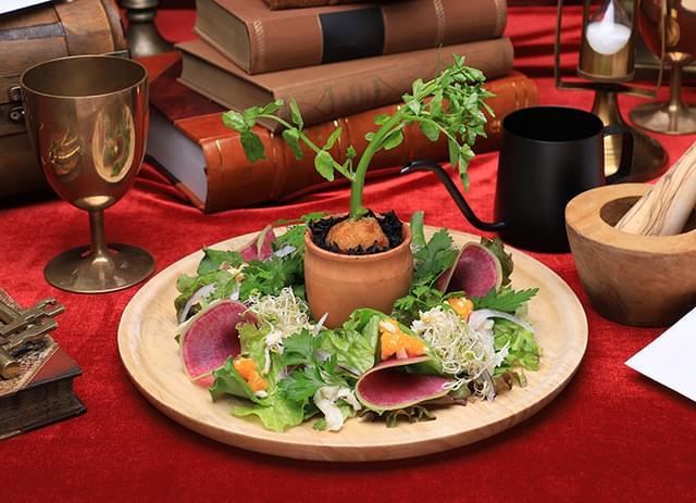 「薬草学サラダ」