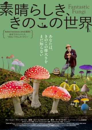 きのこと菌類の秘めたる力に迫る驚異のドキュメンタリー「素晴らしき、きのこの世界」9月24日公開