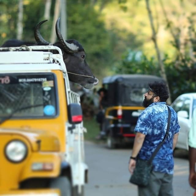 リジョー・ジョーズ・ペッリシェーリ監督と撮影用に購入した牛