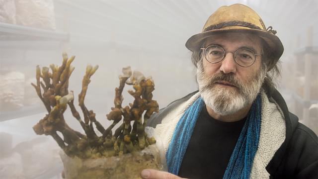 きのこ・菌類の秘めたる力に迫る