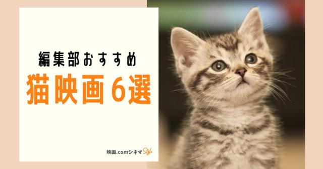 「泣きたい私は猫をかぶる」「gifted ギフテッド」「ボブという名の猫」などをご紹介!