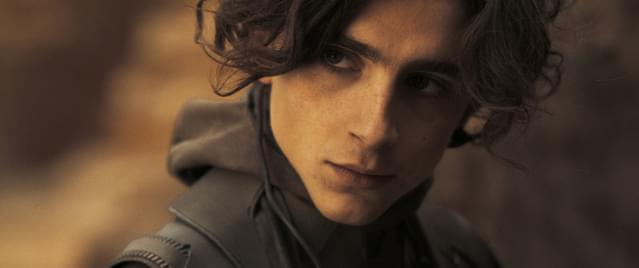 主人公を演じたティモシー・シャラメ