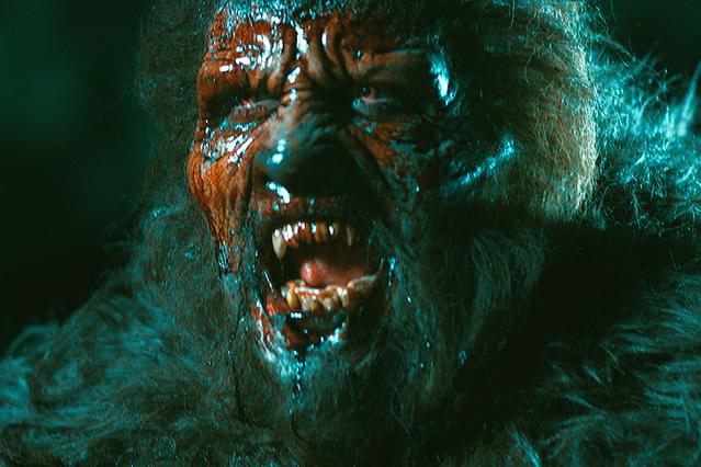 恐怖と戦慄に満ちた予測不可能な展開が連続するホラー