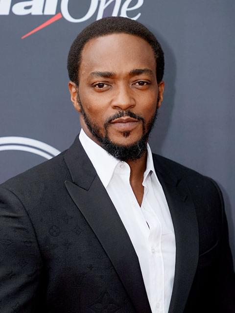 アンソニー・マッキー、人気ゲーム「ツイステッド・メタル」テレビドラマ化に主演