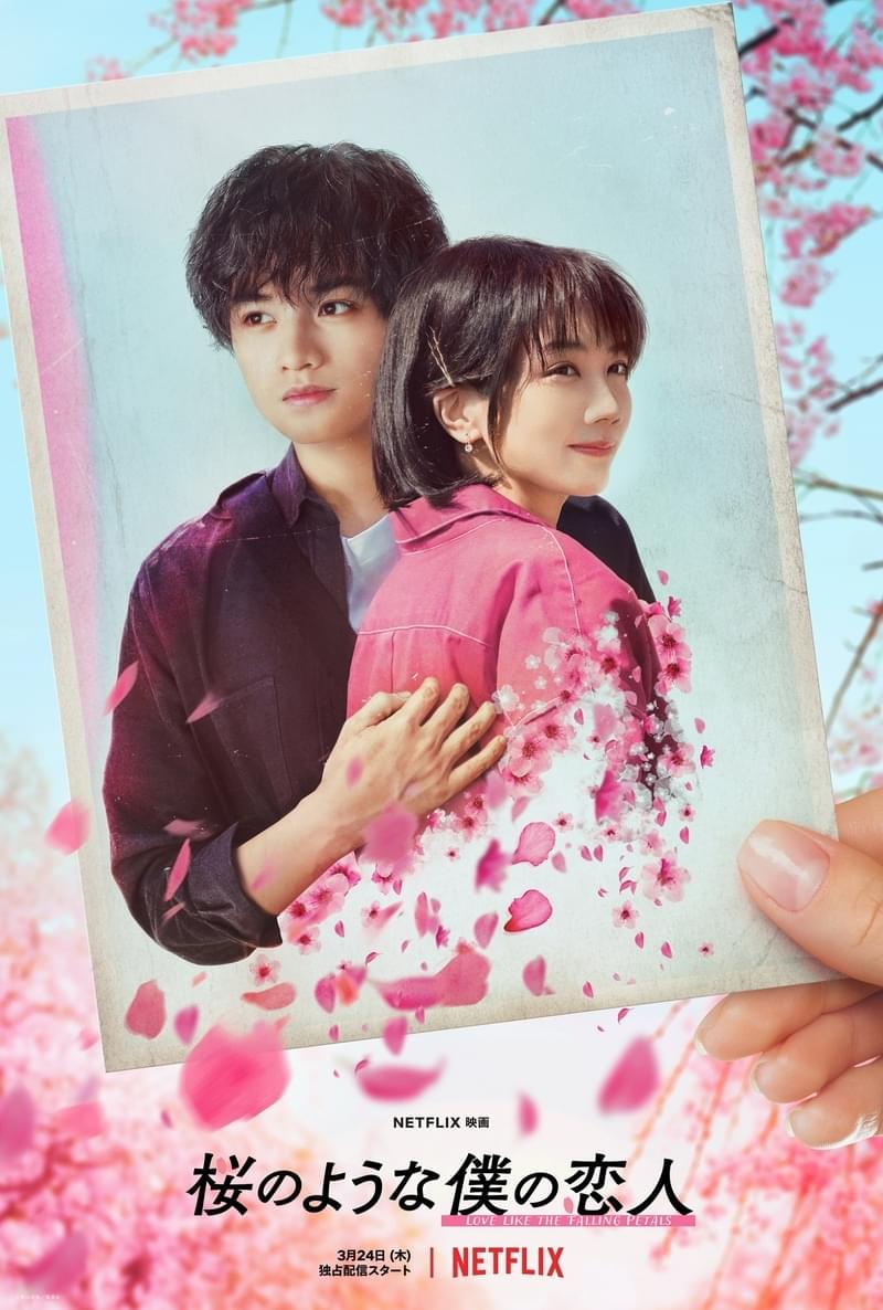 中島健人×松本穂香「桜のような僕の恋人」映像初公開 人の何十倍も早く老いていく恋人とのかけがえのない時間