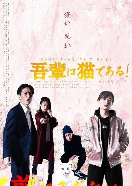 武田梨奈＆芋生悠のアクションをたっぷりおさめた予告編