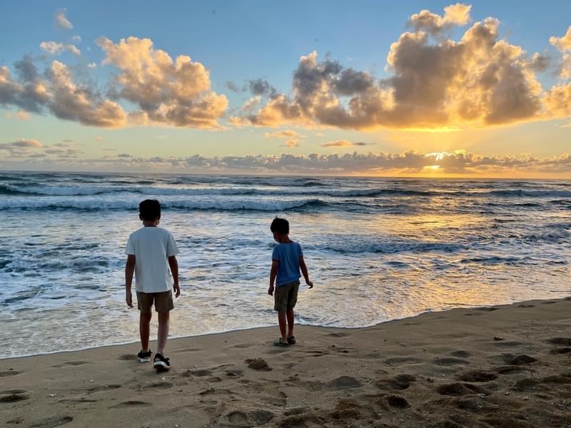 【ハリウッドコラムvol.315】旅行先のハワイで見た、withコロナの新たな景色