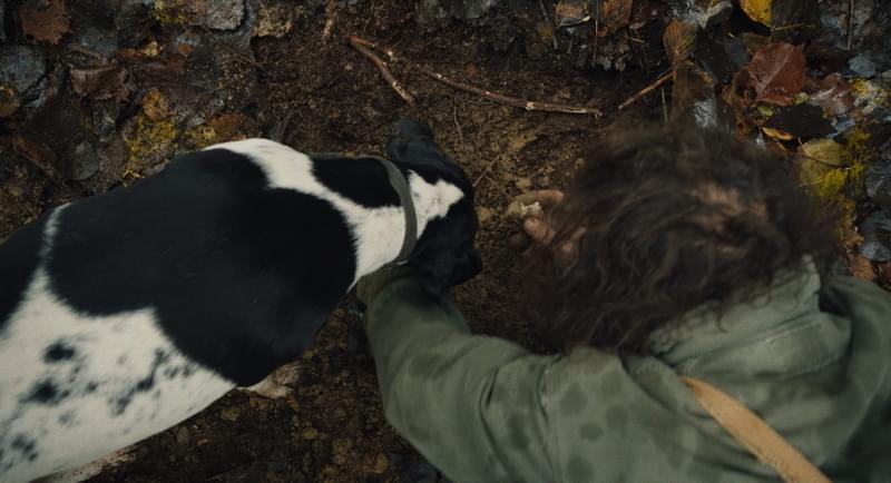 呼吸、嗅ぐ音、白トリュフを掘り出す瞬間 トリュフ犬にカメラを付けて撮影した貴重映像