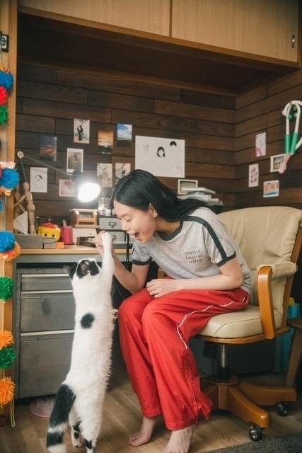 「猫は逃げた」