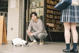 「愛なのに」「猫は逃げた」に登場する猫たち！ 瀬戸康史ら主要キャストとの共演ショット
