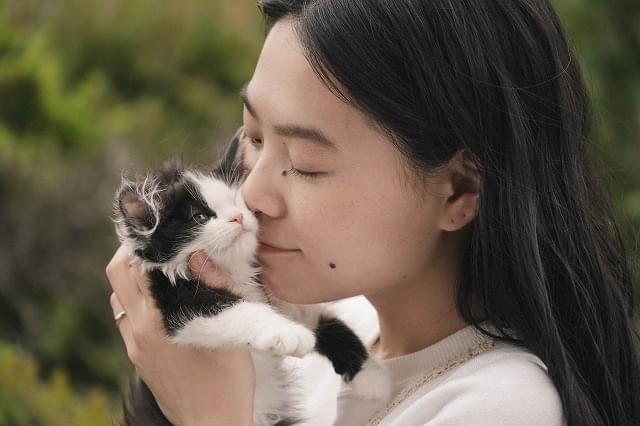 「猫は逃げた」