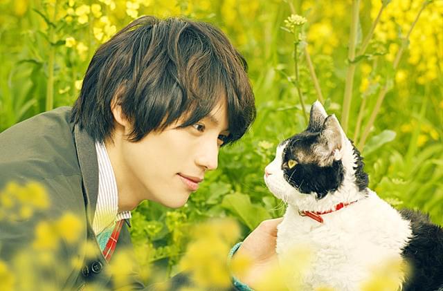 【今日もイケメン、明日もイケメン】2月22日は「猫の日」！ 猫を愛するイケメンの映画＆ドラマ10選