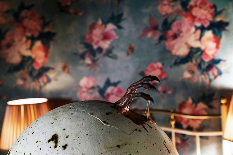 “幸せな家族”を発信する母。娘が育てる謎の卵が、家族の真の姿を浮き彫りにするホラー「ハッチング 孵化」場面写真10点