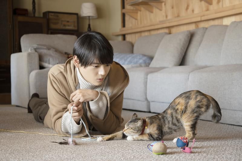 古川雄輝主演「ねこ物件」ドラマ放送開始前に映画化決定！ 癒し満載の超特報もお披露目