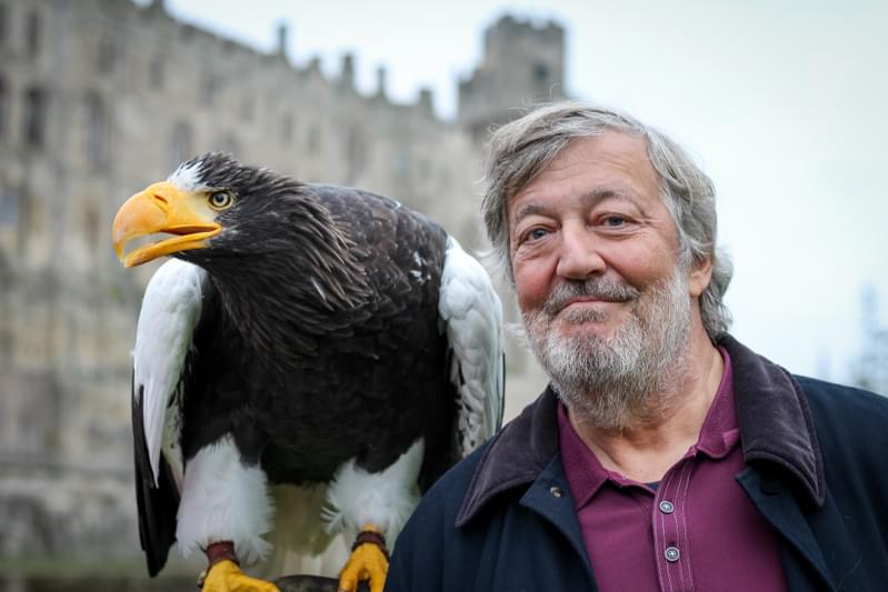 ドキュメンタリー「ファンタスティック・ビーストと動物の歴史」、U-NEXTが見放題で独占配信！