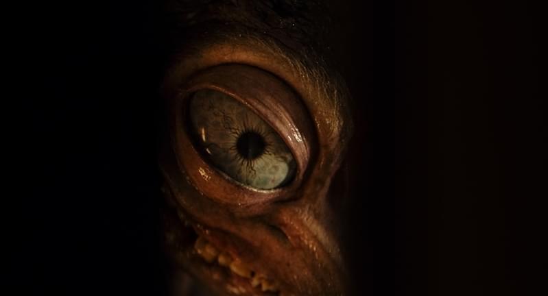 誰もが羨む幸せ家族の闇を暴く…孵化した“それ” 少女の狂気描く「ハッチング」衝撃新カット