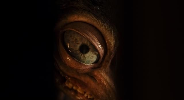 幸せ家族の闇を暴く…孵化した“それ”