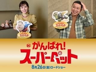 松岡茉優が変幻自在の乙女なブタ、チョコプラ松尾が超高速カメ！「DC がんばれ！スーパーペット」特報