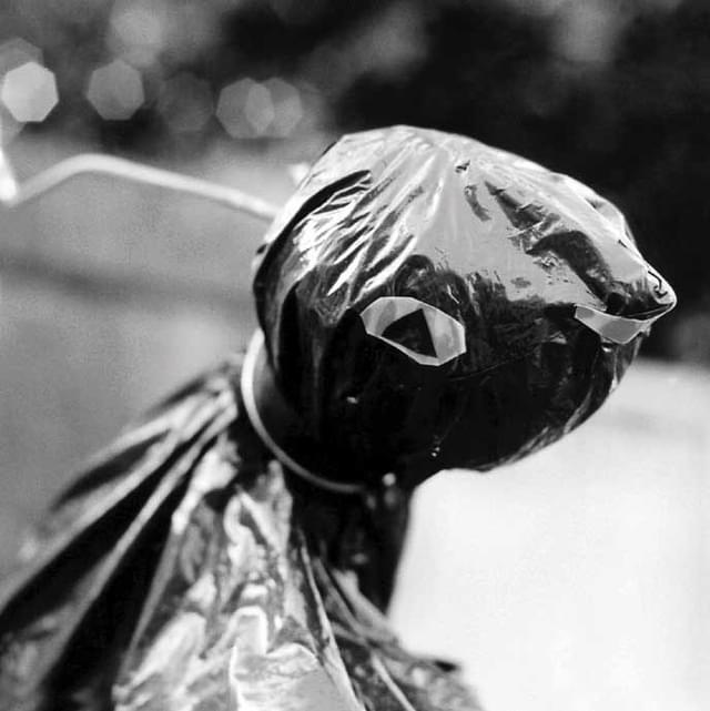 「The ピーズ」の03年発売のアルバム「The ピーズ」ジャケット