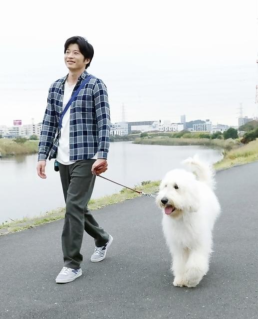 俳優犬ベックの魅力に迫ります！
