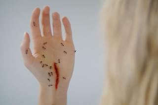 謎の穴に潜り若返る妻、電子制御男性器を自慢する上司…ブニュエルのように欲望と不条理描く「地下室のヘンな穴」本編映像