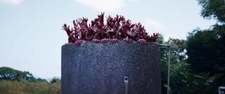 エクソシスト、死霊館、IT…「カラダ探し」には、名作ホラーのオマージュ多数！