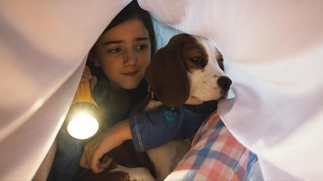 【登場する犬】モリー:イーサンの家を飛び出したものの、CJの面倒を見ないで遊び歩く母・グロリアに代わって、ひとりぼっちのCJを守る親友となる