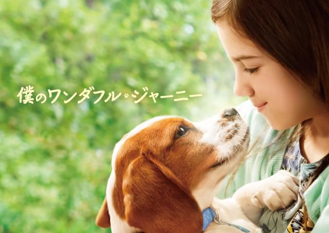 「僕のワンダフル・ジャーニー」吹き替え声優・キャスト一覧 ベイリー、CJ役は誰？