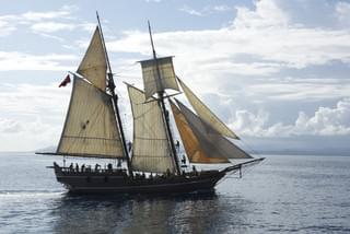 クロスボーンズ 黒ひげの野望