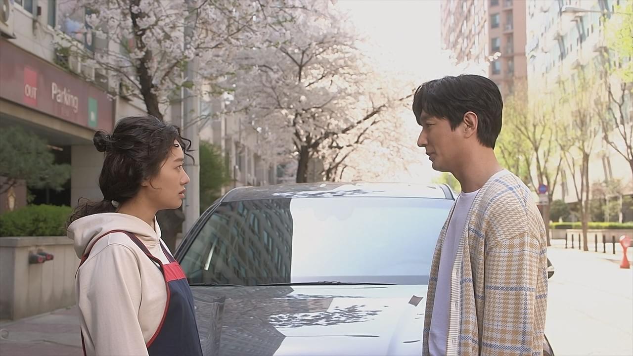 シンデレラも恋していいですか？ シーズン1