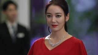 ミス・モンテクリスト