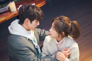 ボクスが帰ってきた