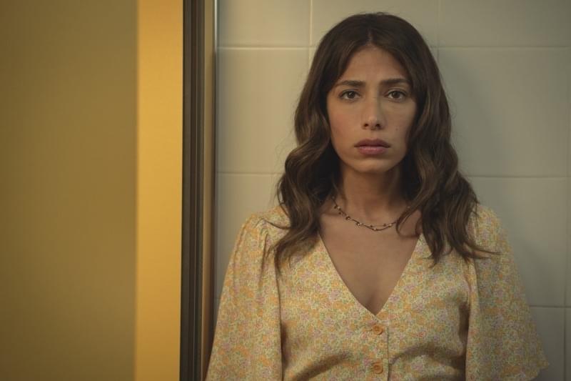 あなたは誰？ エリン・カーター リミテッドシリーズ