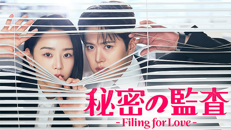 秘密の監査 Filing for Love