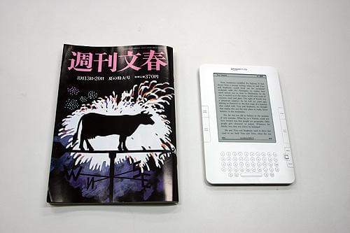 大きさはこのくらい