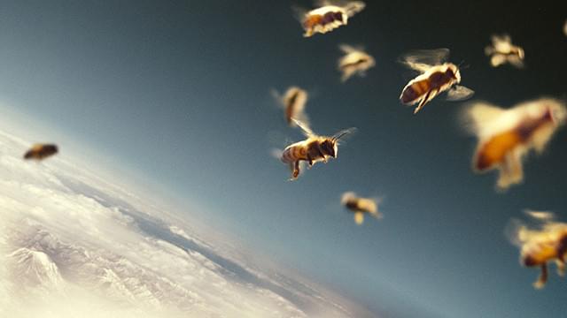 驚くほどに美しい、ハチの飛行シーン