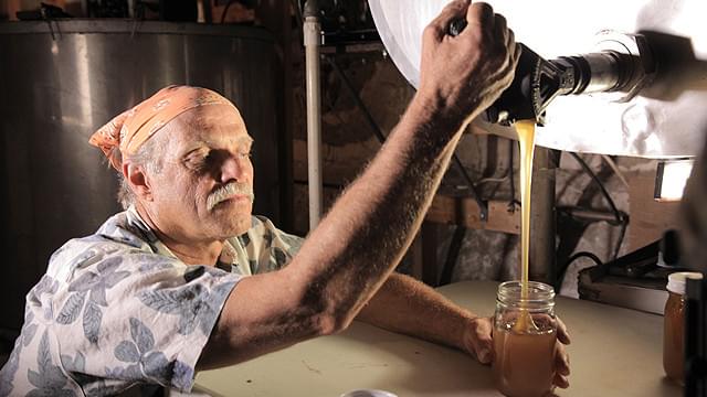 キラービーからハチミツを採る、米アリゾナの養蜂家フレッド・テリー