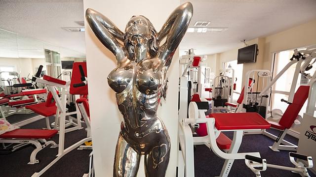 品のない調度品の数々に彩られた生活が、やがて一転する