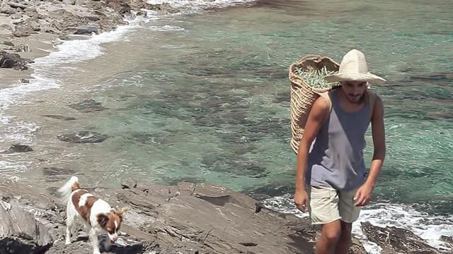 エーゲ海に浮かび、「長寿の島」と言われるイカリア島