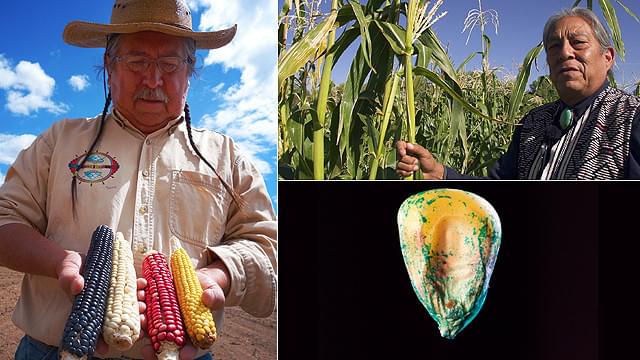 遺伝子組み換え技術などにも批判を展開