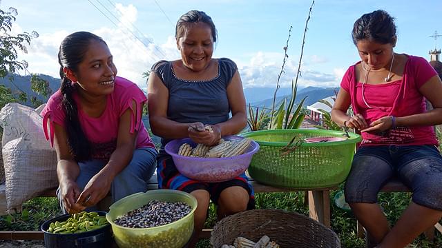 農産物の「タネ」に着目したドキュメンタリー