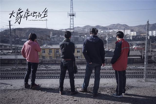 11月2日に日本公開を迎えた「象は静かに座っている」