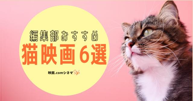 「泣きたい私は猫をかぶる」「gifted ギフテッド」「ボブという名の猫」などをご紹介！