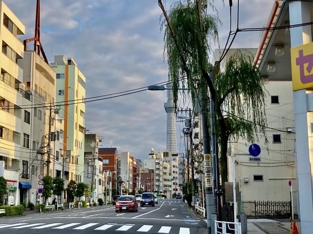 「怪猫トルコ風呂」