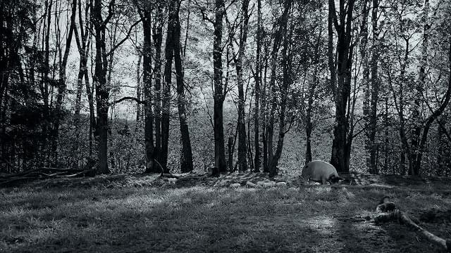 「GUNDA グンダ」