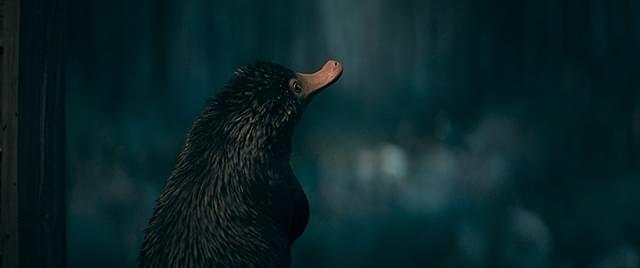 「ファンタスティック・ビーストとダンブルドアの秘密」