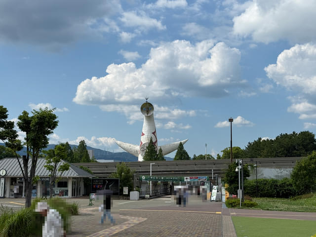 画像9