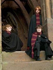 ここまできたら最後までやるしか…