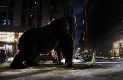 「キング・コング」は、コングとアンの愛についての物語